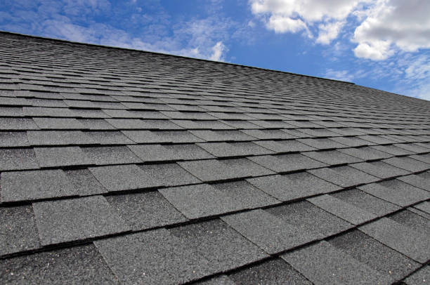 Best Roof Ventilation Installation  in Brunswick, GA