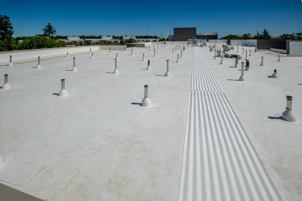 Best Roof Insulation Installation  in Brunswick, GA
